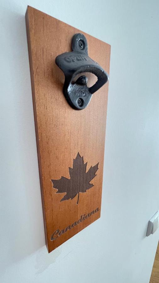 Maple Lodge براشوف المظهر الخارجي الصورة